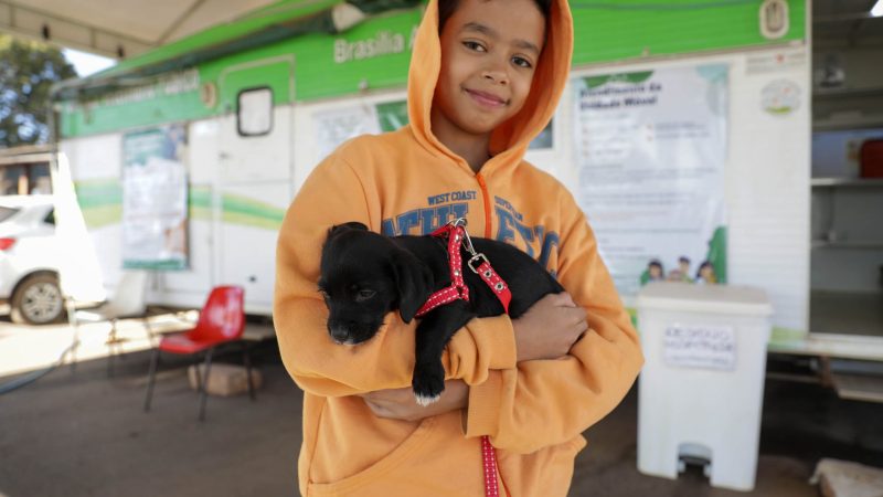 Unidade Móvel do Hvep chega em Arapoanga para cuidar da saúde dos pets