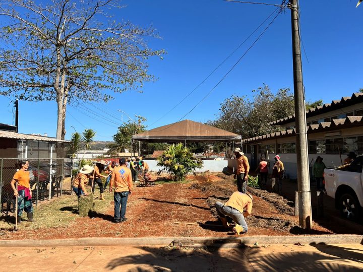 Brasília expande cultivo de plantas medicinais e fortalece a rede de hortos públicos