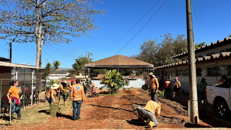 Brasília expande cultivo de plantas medicinais e fortalece a rede de hortos públicos