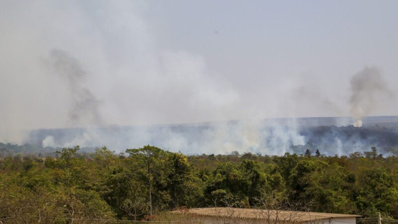 GDF investiga ação criminosa no incêndio do Parque Nacional de Brasília