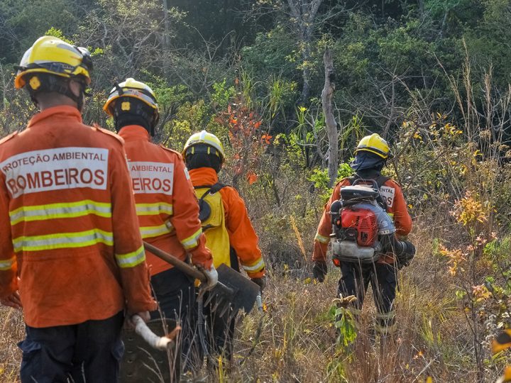 Seca histórica acende alerta dos bombeiros que intensificam combate e prevenção