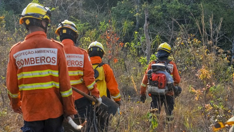 Seca histórica acende alerta dos bombeiros que intensificam combate e prevenção