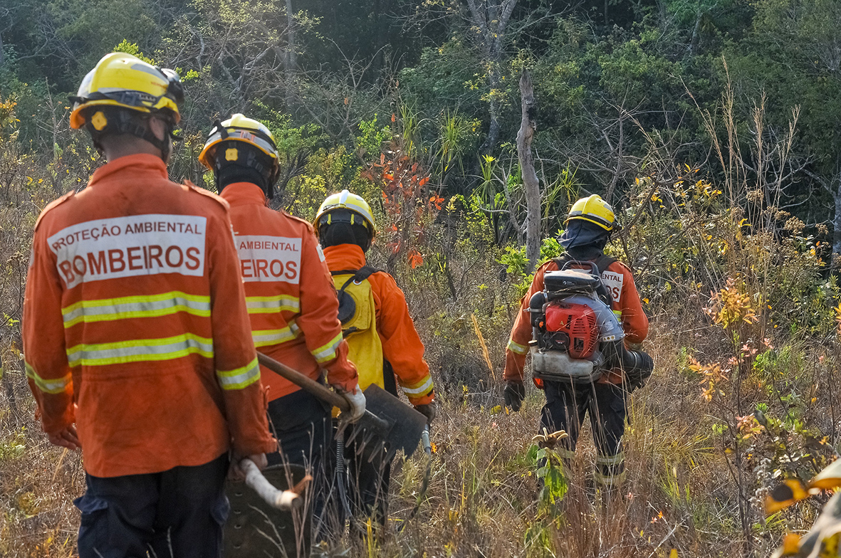 Seca histórica acende alerta dos bombeiros que intensificam combate e prevenção