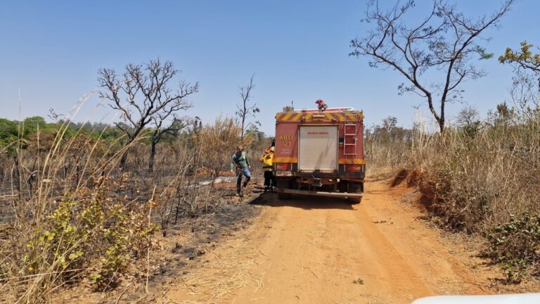 GDF desmonta esquema de incêndios criminosos em áreas protegidas
