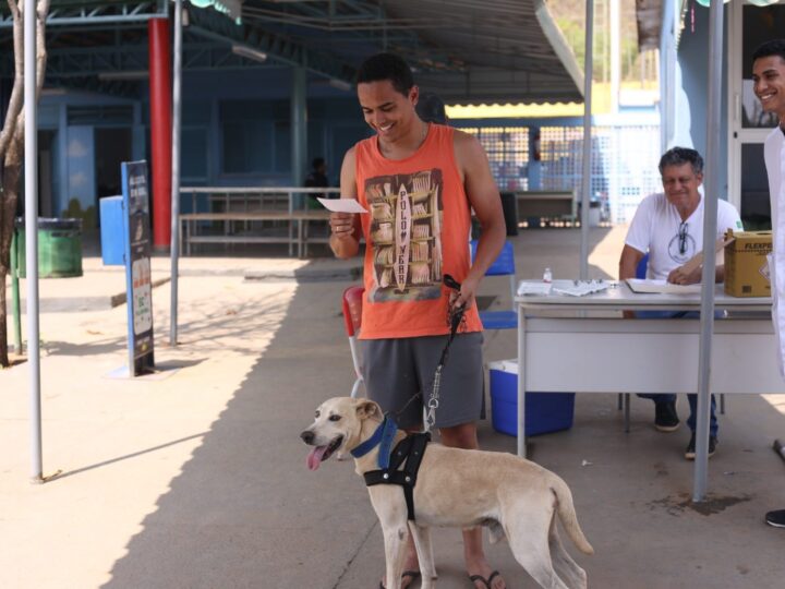 Mais de 49 mil pets já foram vacinados contra a raiva no DF