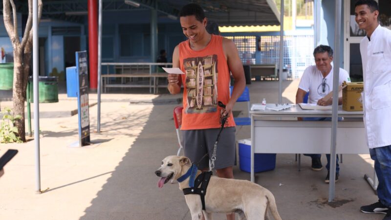 Mais de 49 mil pets já foram vacinados contra a raiva no DF