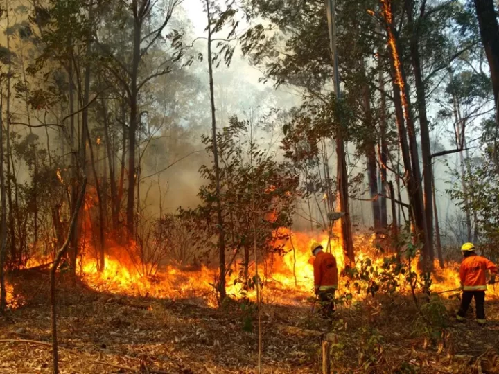 Queimadas devastam a Flona de Brasília em dia de seca record