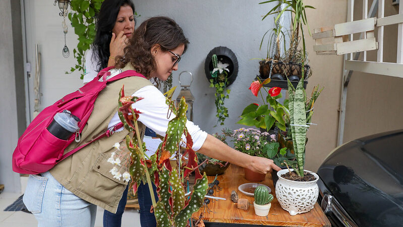 Asa Sul recebe ação intensiva contra a dengue e mobiliza moradores