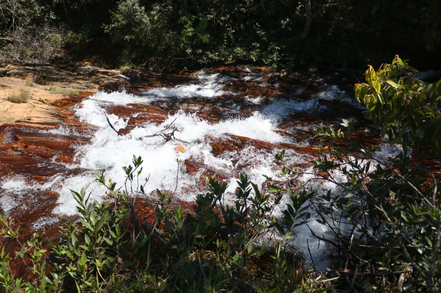 GDF garante mais proteção ao Cerrado com nova regra para empreendimentos imobiliários