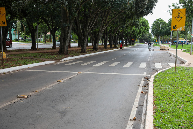Avenida das Mangueiras ganha novas faixas de pedestre e fica mais segura