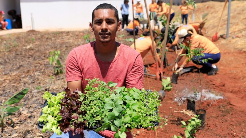 Hortos do DF são destaque nacional em segurança alimentar