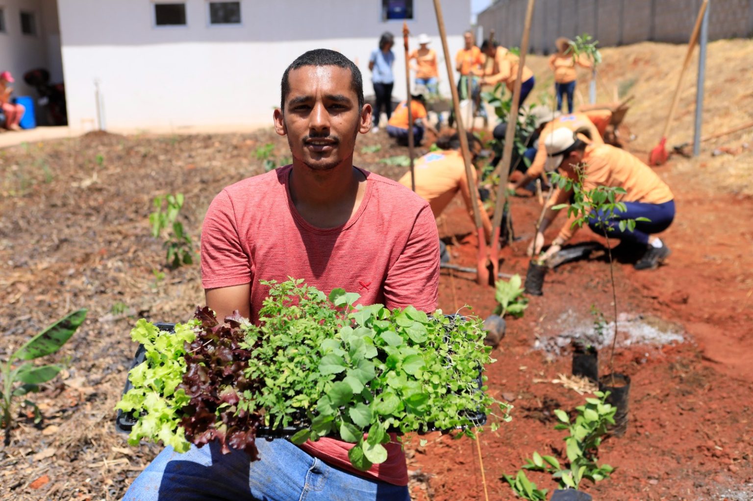 Hortos do DF são destaque nacional em segurança alimentar