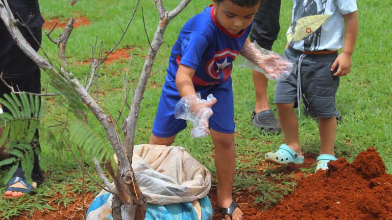 Brasília se une para plantar o futuro: Feira de mudas e sementes prepara o Dia de Plantar