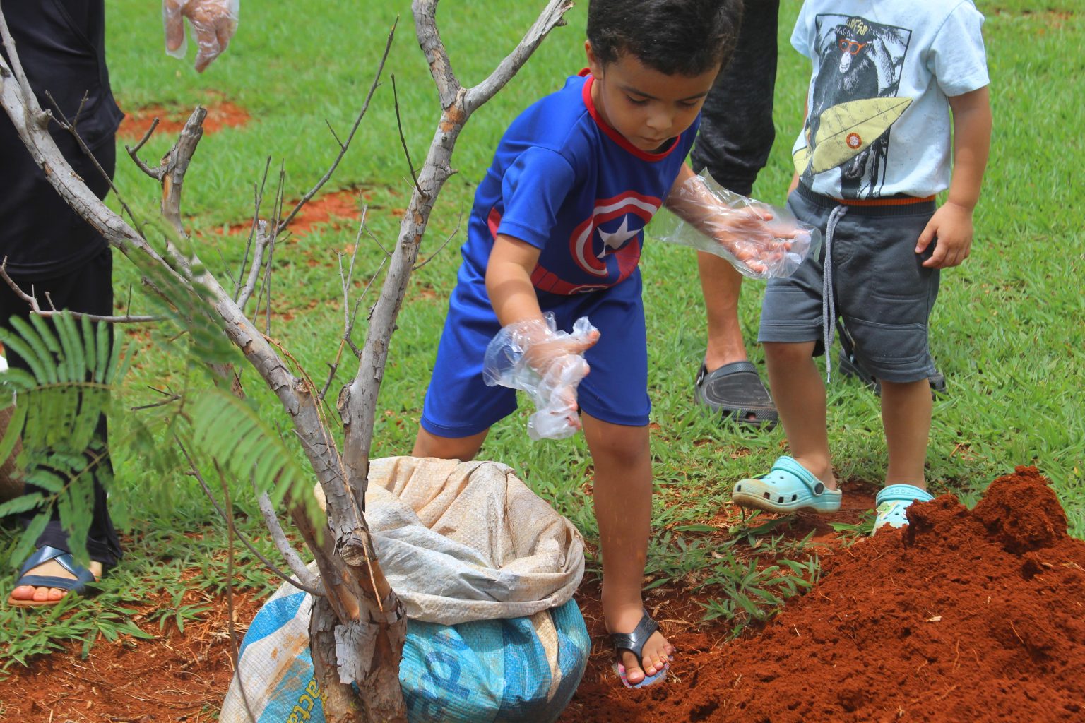 Brasília se une para plantar o futuro: Feira de mudas e sementes prepara o Dia de Plantar