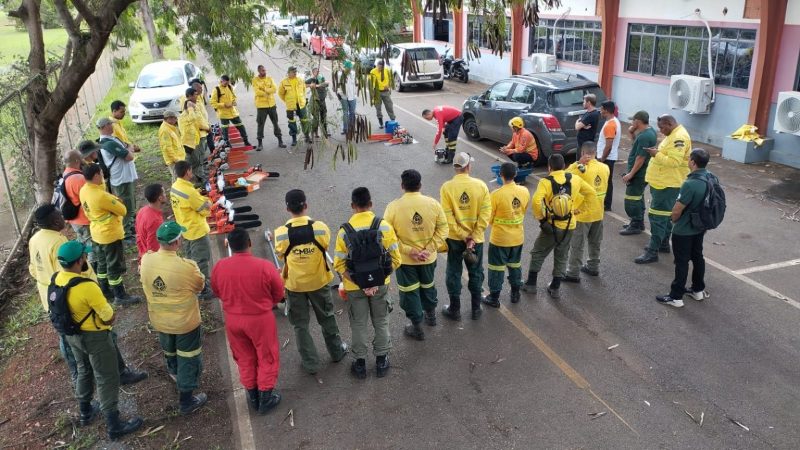 Servidores do Brasília Ambiental aprendem a operar motosserras com segurança