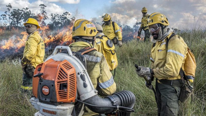 Fórum debate prevenção e combate a incêndios florestais no DF