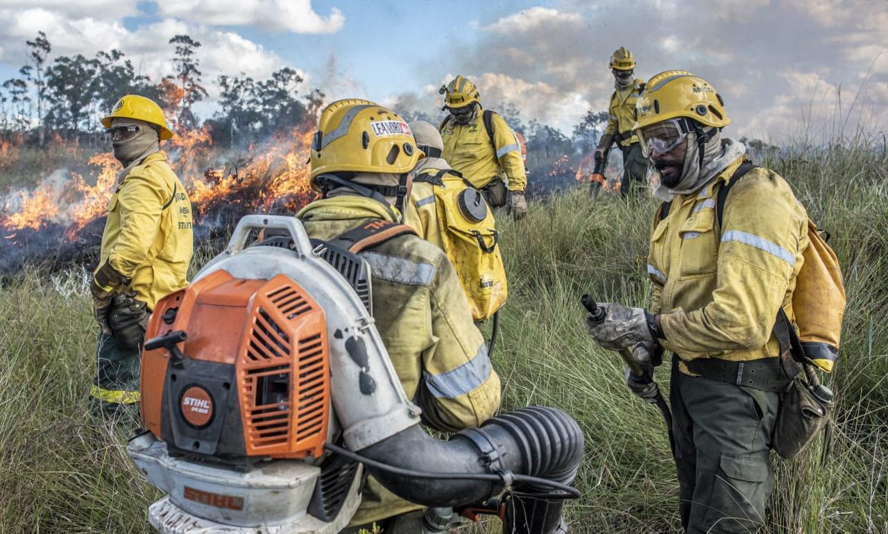 Fórum debate prevenção e combate a incêndios florestais no DF