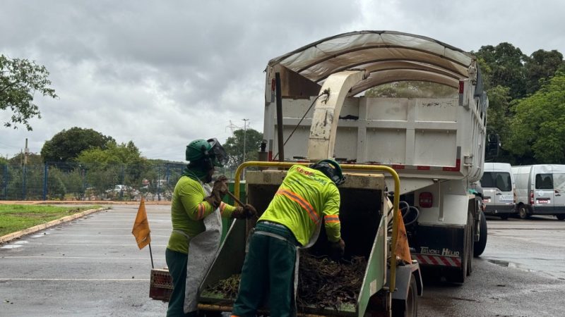 Novacap recolhe resíduos verdes em até 48 horas e garante destinação correta no DF