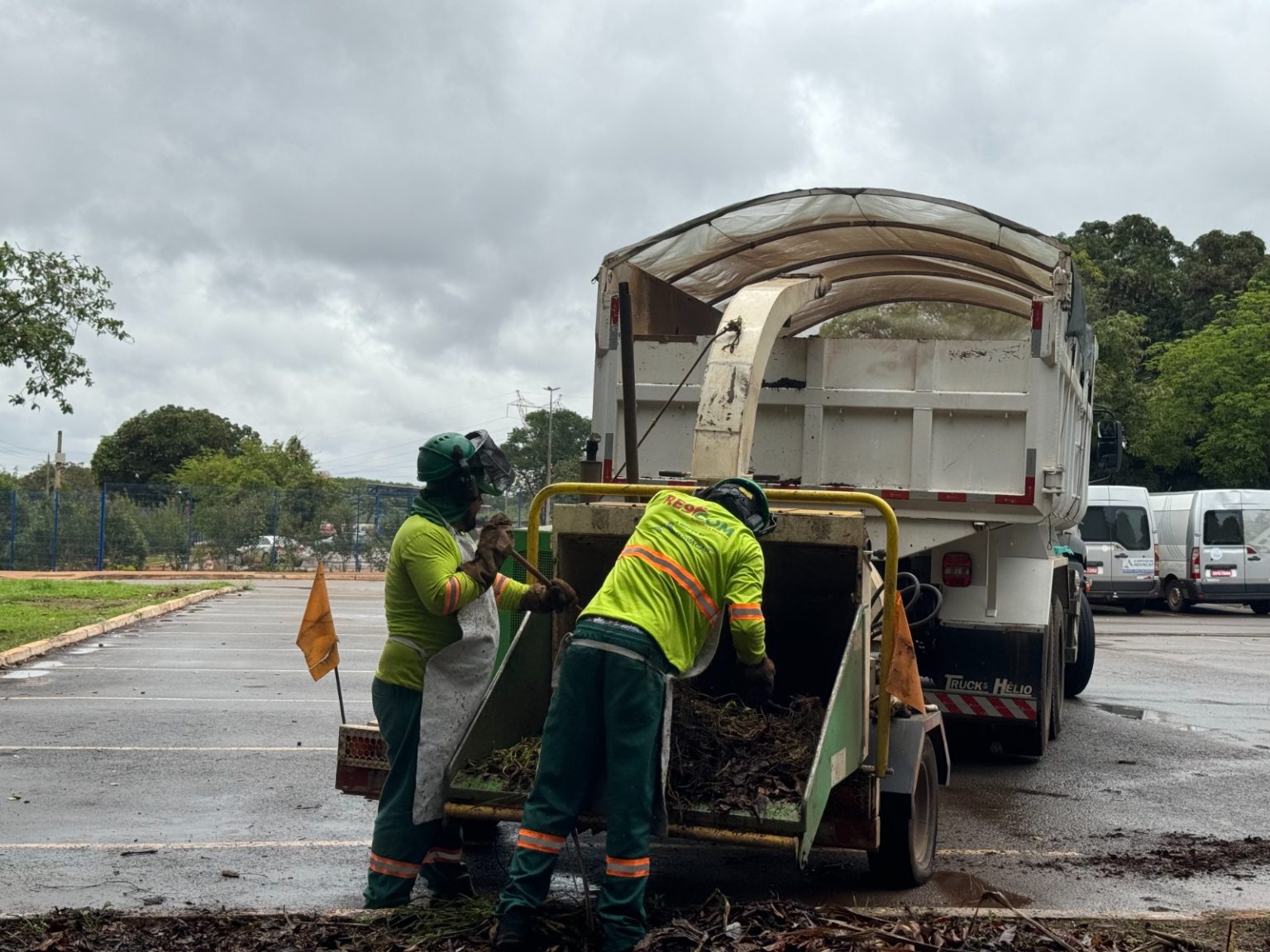 Novacap recolhe resíduos verdes em até 48 horas e garante destinação correta no DF