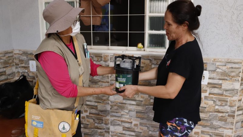 DF inova no combate à dengue com armadilhas para mosquitos