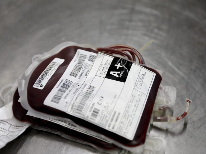 Webinar gratuito aborda a importância da assistência hemoterápica em casos de dengue