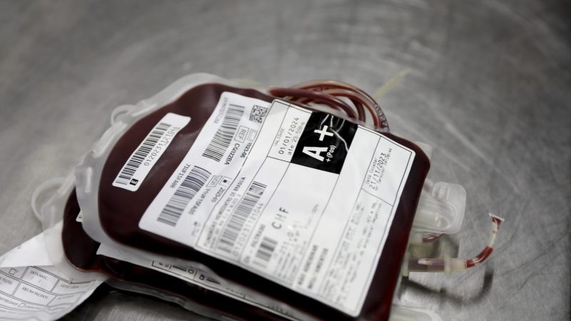 Webinar gratuito aborda a importância da assistência hemoterápica em casos de dengue