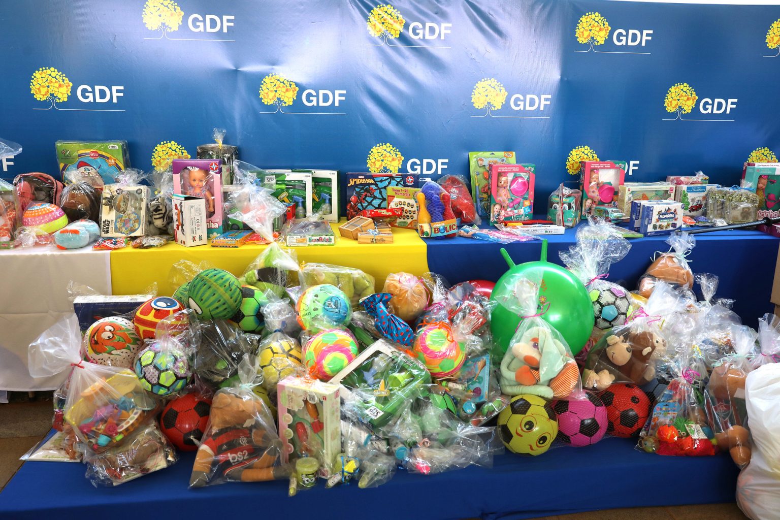 Ações solidárias do GDF superam expectativas e chegam a triplicar arrecadações