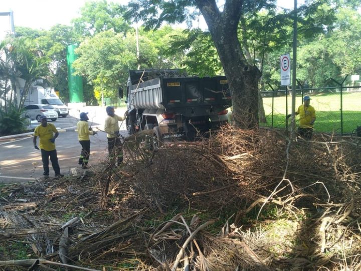 Força-tarefa já recolheu mais de 180 toneladas de lixo