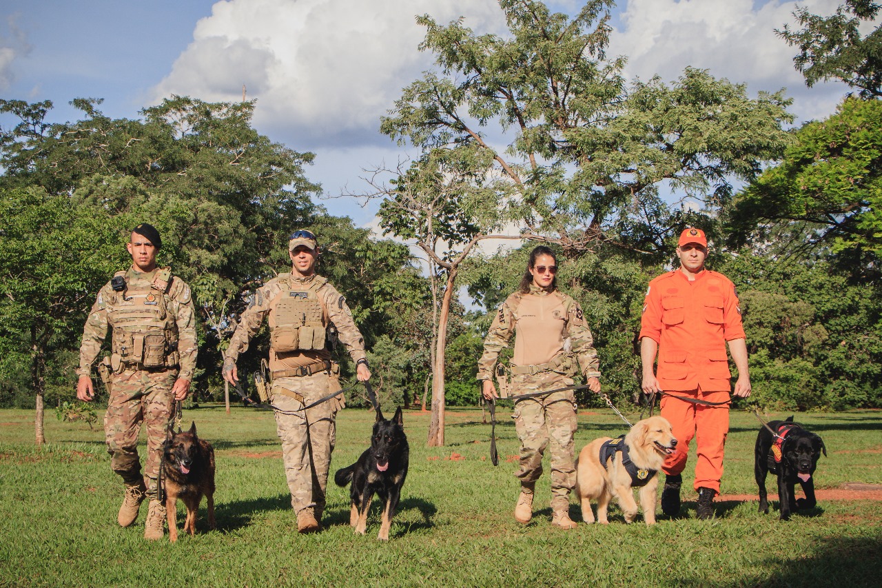 DF promove evento para conscientizar sobre proteção animal