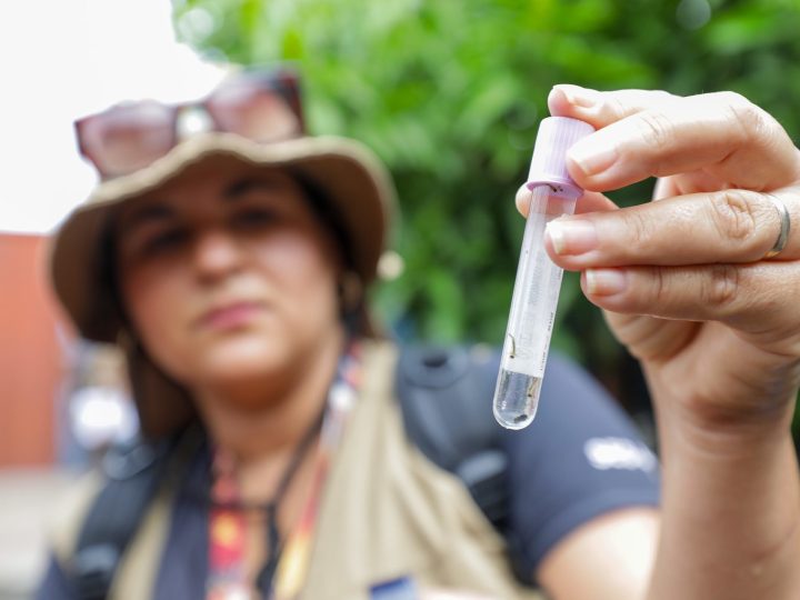 DF se une à mobilização nacional contra a dengue neste sábado