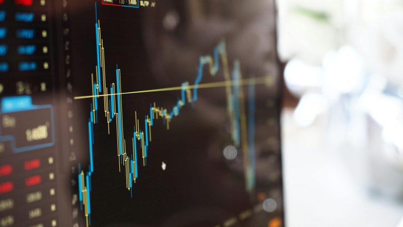Alta da Selic: O que esperar para seus investimentos em 2025?