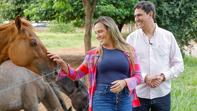 GDF intensifica combate ao abandono de animais de grande porte no DF