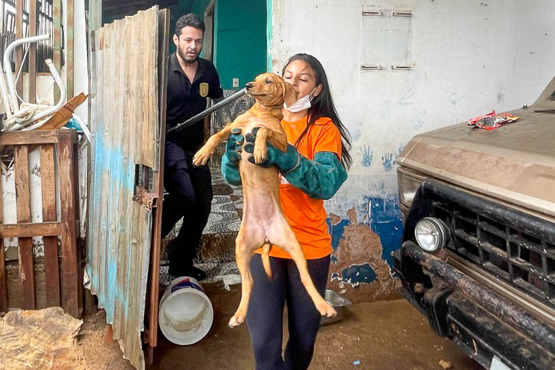 Mais de 100 cães resgatados em condições cruéis na Candangolândia