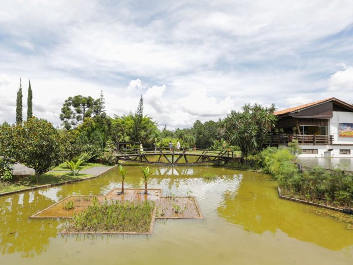 Conecte-se com a natureza e melhore sua saúde mental