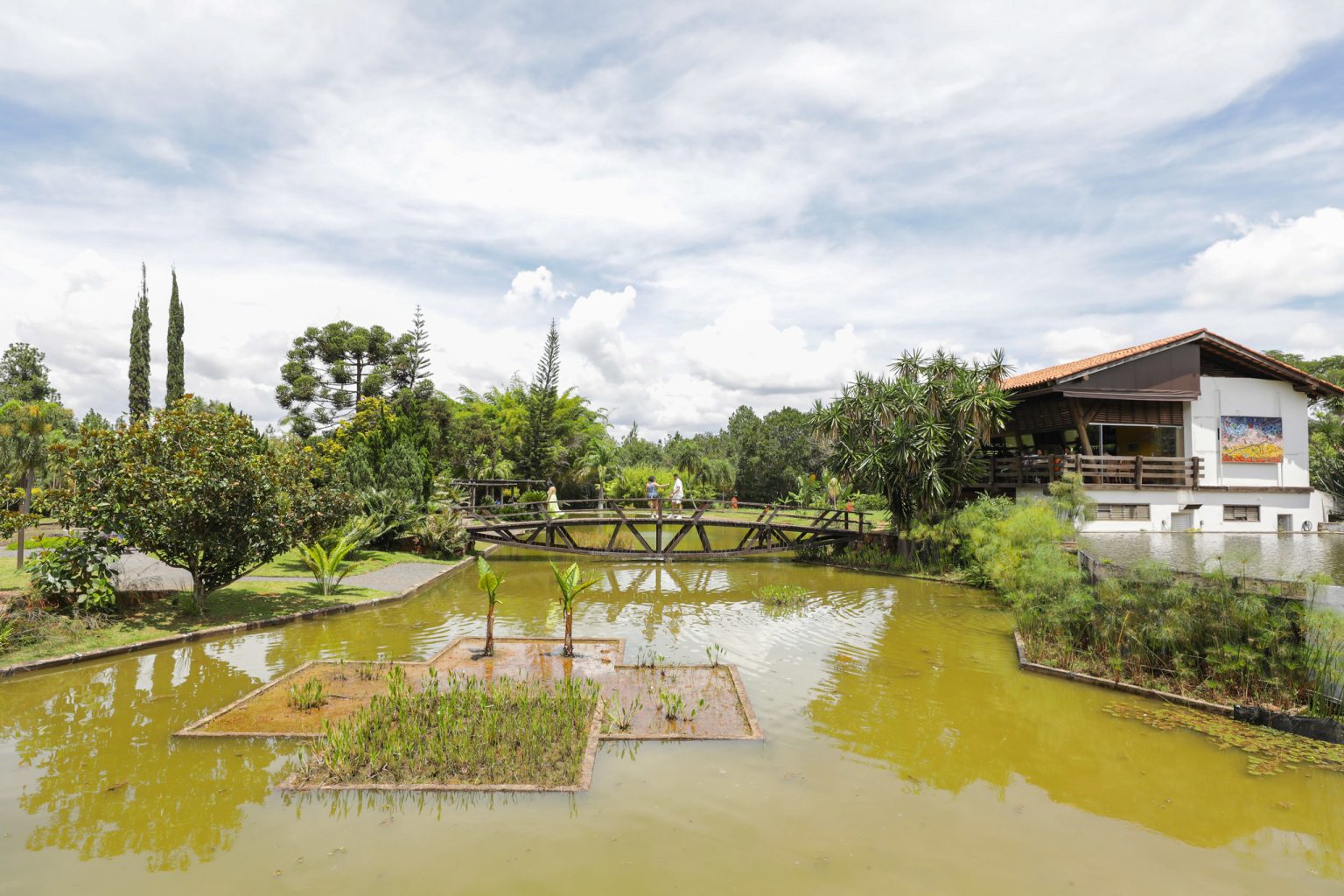 Conecte-se com a natureza e melhore sua saúde mental
