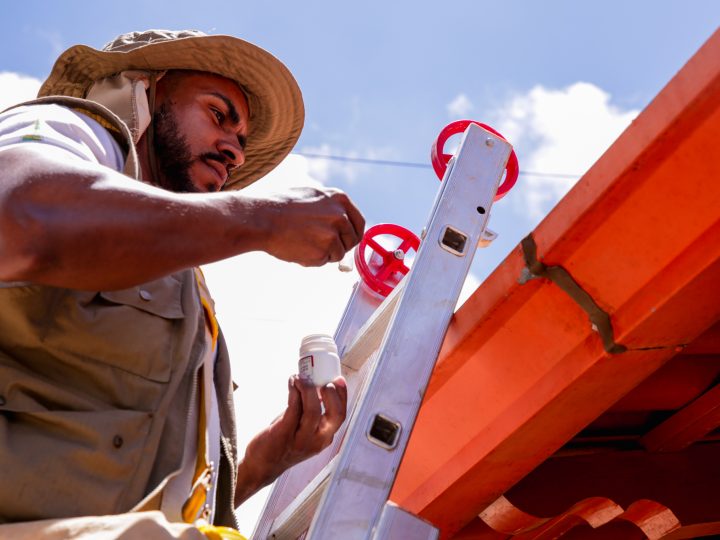 Sobradinho recebe ação intensificada de combate à dengue