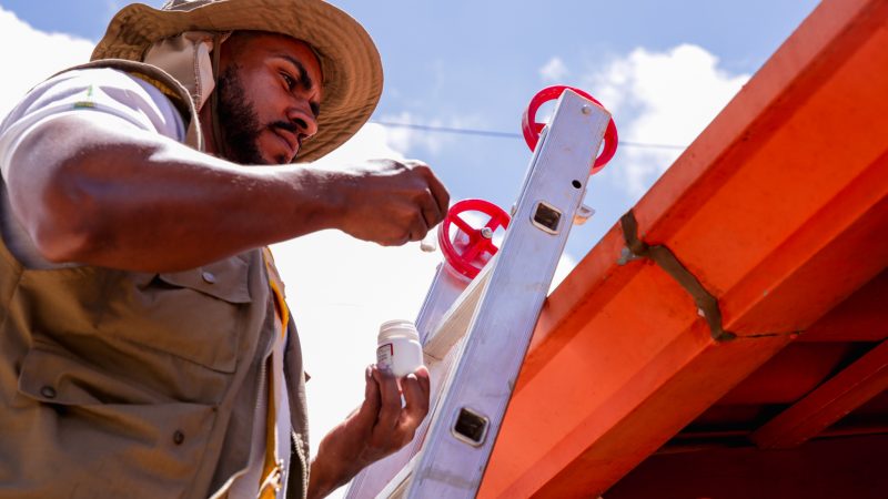 Sobradinho recebe ação intensificada de combate à dengue