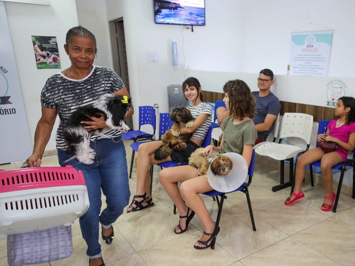 Programa gratuito de castração já atendeu mais de 700 animais