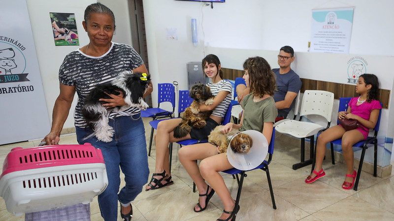Programa gratuito de castração já atendeu mais de 700 animais
