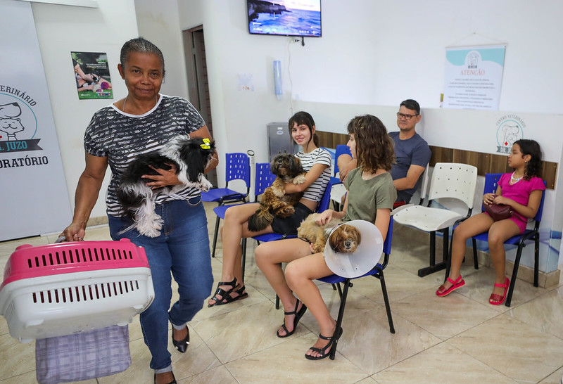 Programa gratuito de castração já atendeu mais de 700 animais