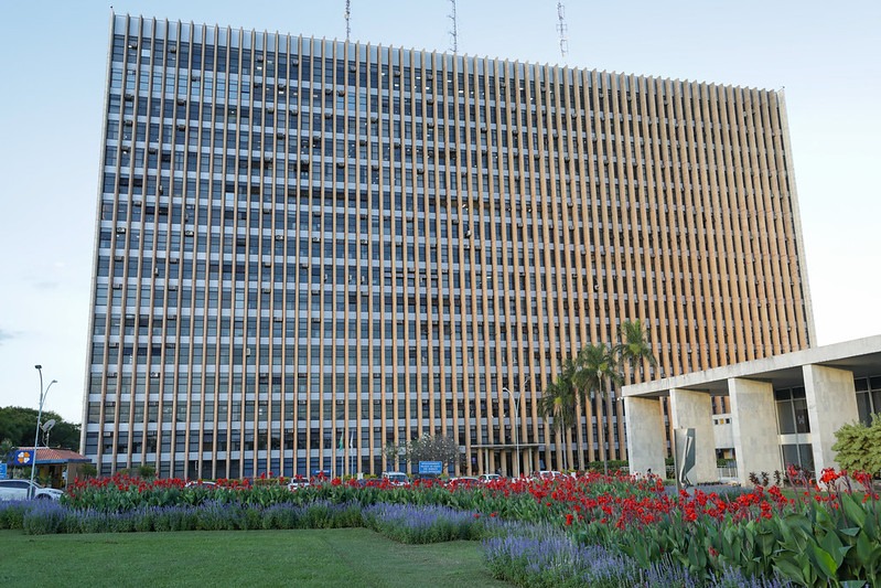 Edilene Dias Cerqueira assume a secretaria extraordinária de proteção animal do DF