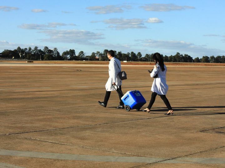 DF celebra recorde de transplantes em 2024