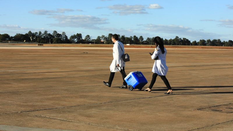 DF celebra recorde de transplantes em 2024