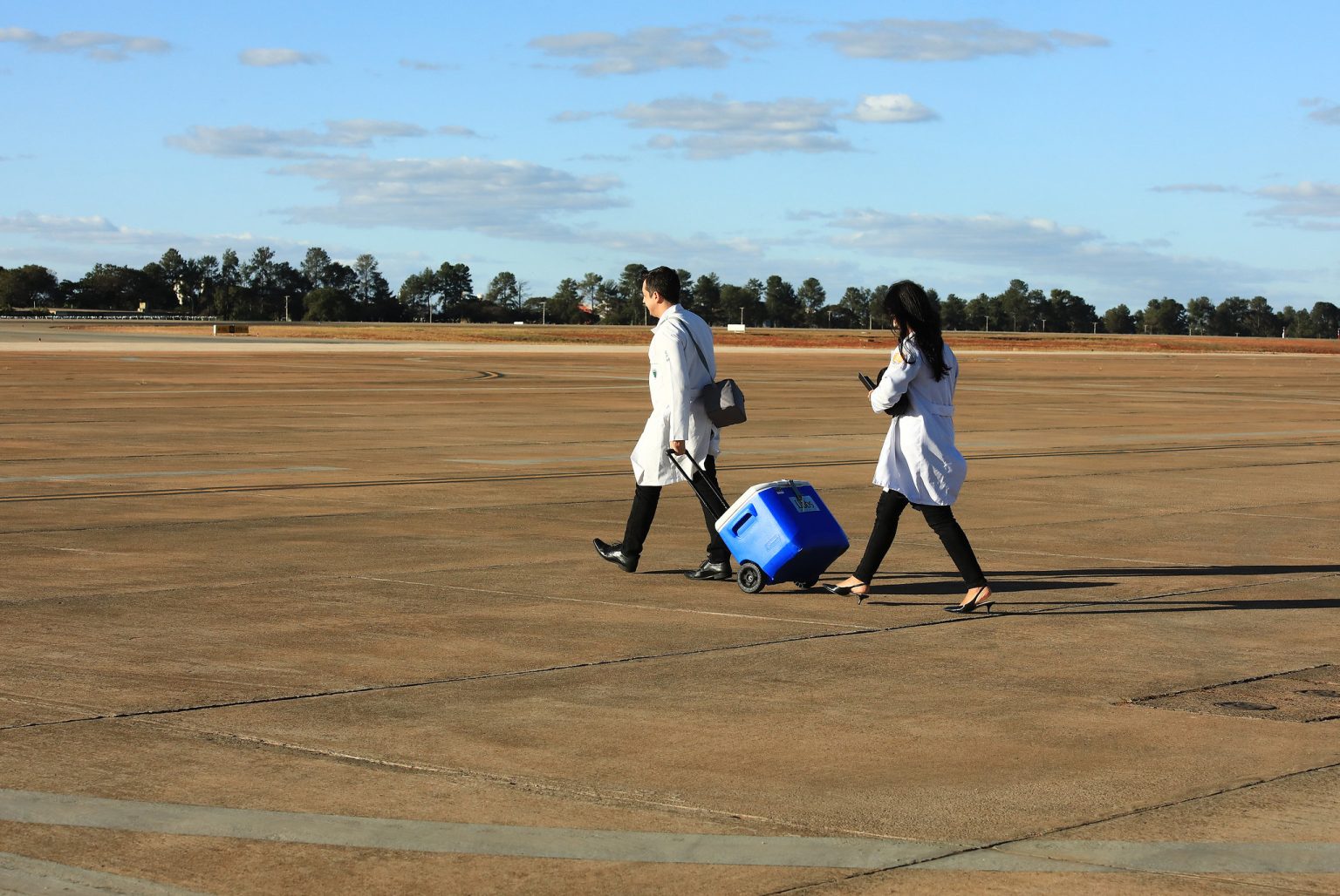 DF celebra recorde de transplantes em 2024