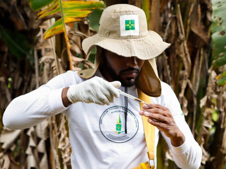 DF moderniza ferramenta para combater a dengue e oferece dados em tempo real