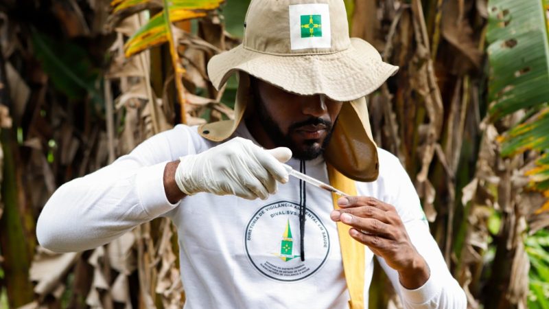 DF moderniza ferramenta para combater a dengue e oferece dados em tempo real