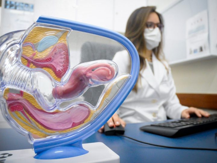 Como acessar o serviço de Laqueadura na rede pública