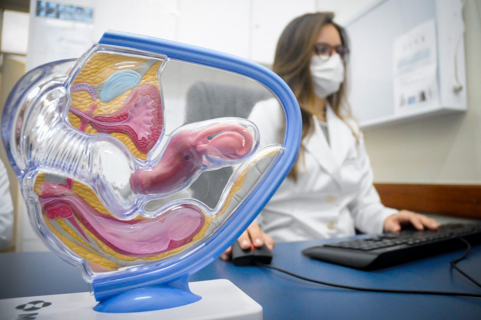 Como acessar o serviço de Laqueadura na rede pública