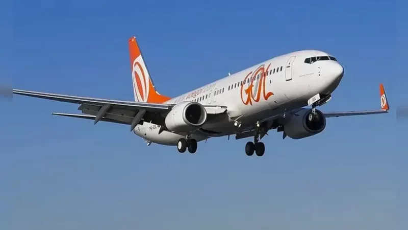 Avião da Gol retorna a Brasília após colisão com pássaro