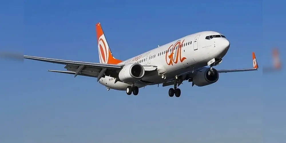 Avião da Gol retorna a Brasília após colisão com pássaro